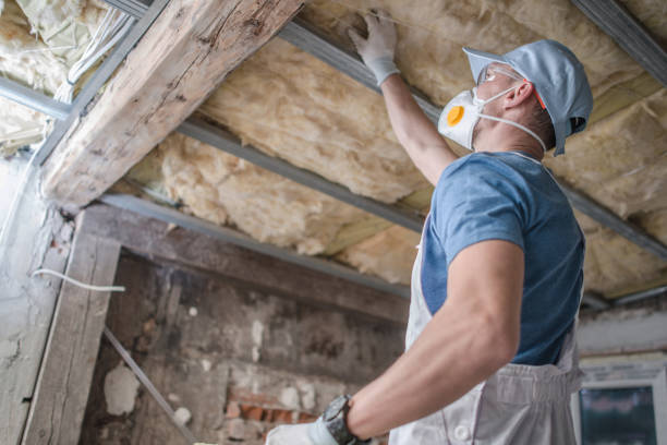 Best Insulation Materials and Products in Driggs, ID